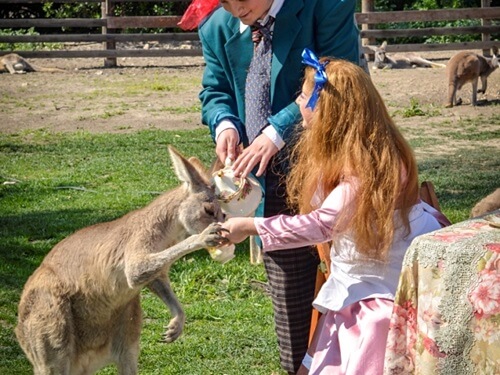 גן גורו ניר דוד